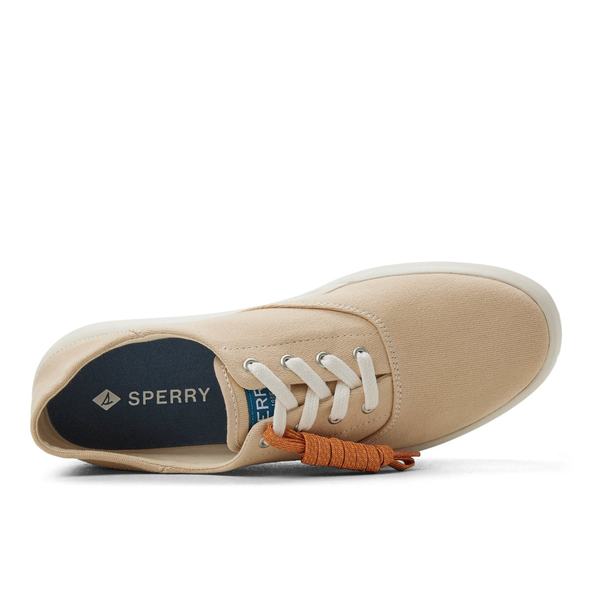 Coastal CVO Crush Sneaker image 6